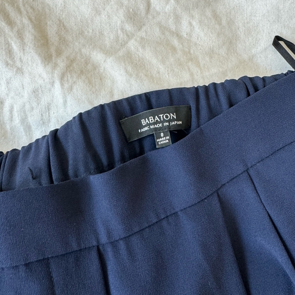 Aritzia Babaton pants